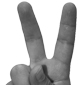 The Vitanova Foundation - "Helping put lives back together again"