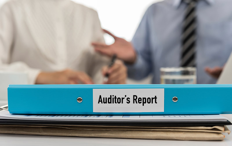 Auditor’s-Report-vita